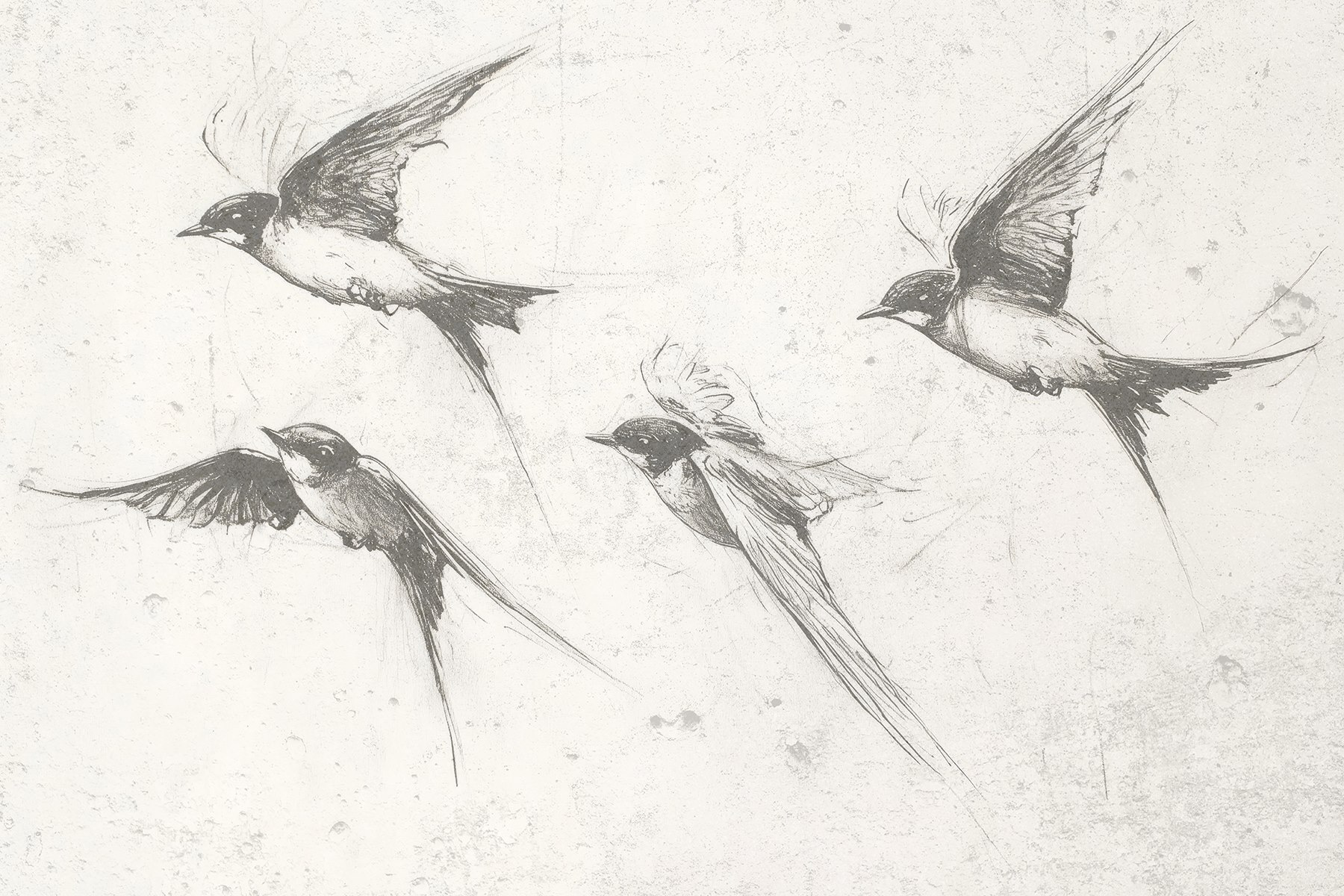 Group of birds flying