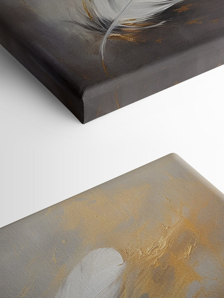 White feather on a grey background White feather on a grey background