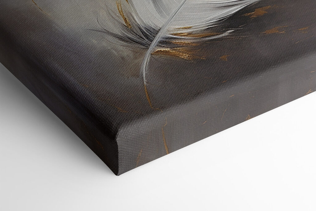 White feather on a grey background White feather on a grey background