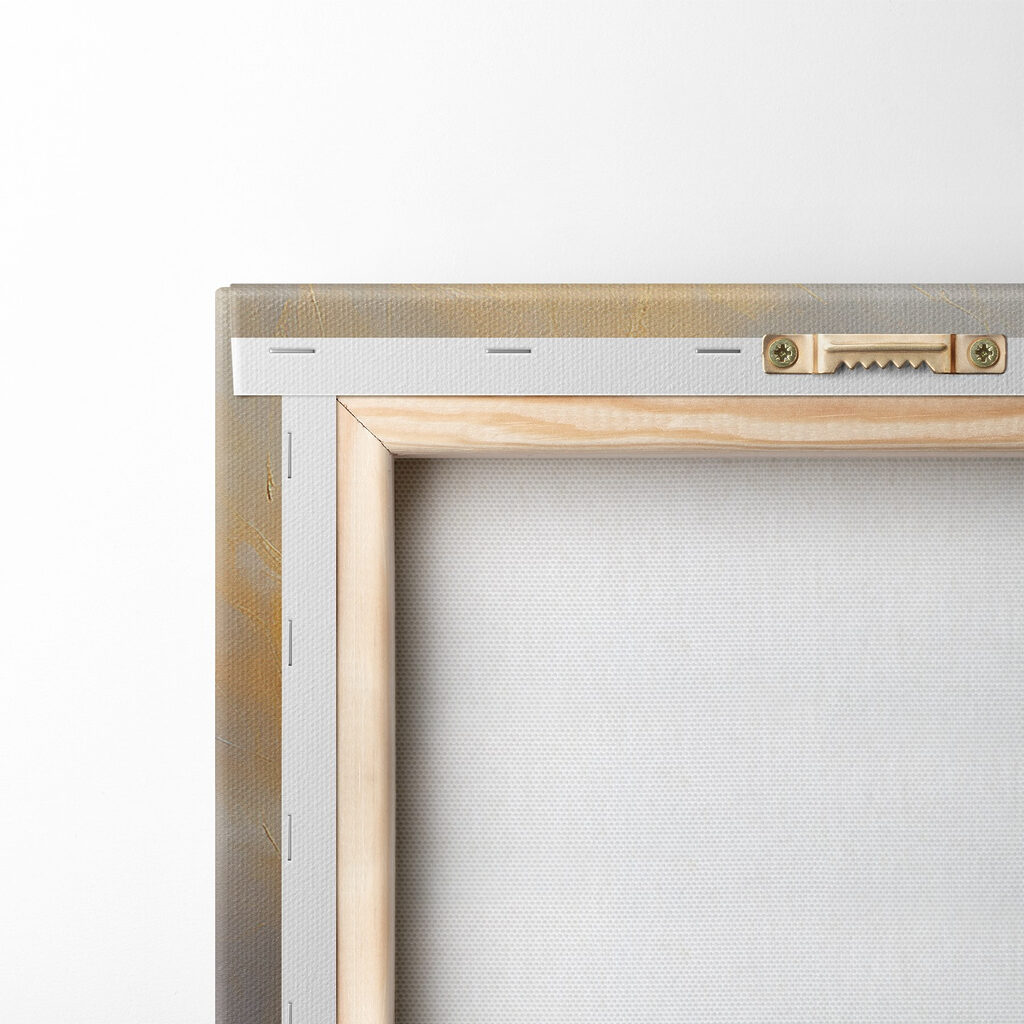 White feather on a grey background White feather on a grey background