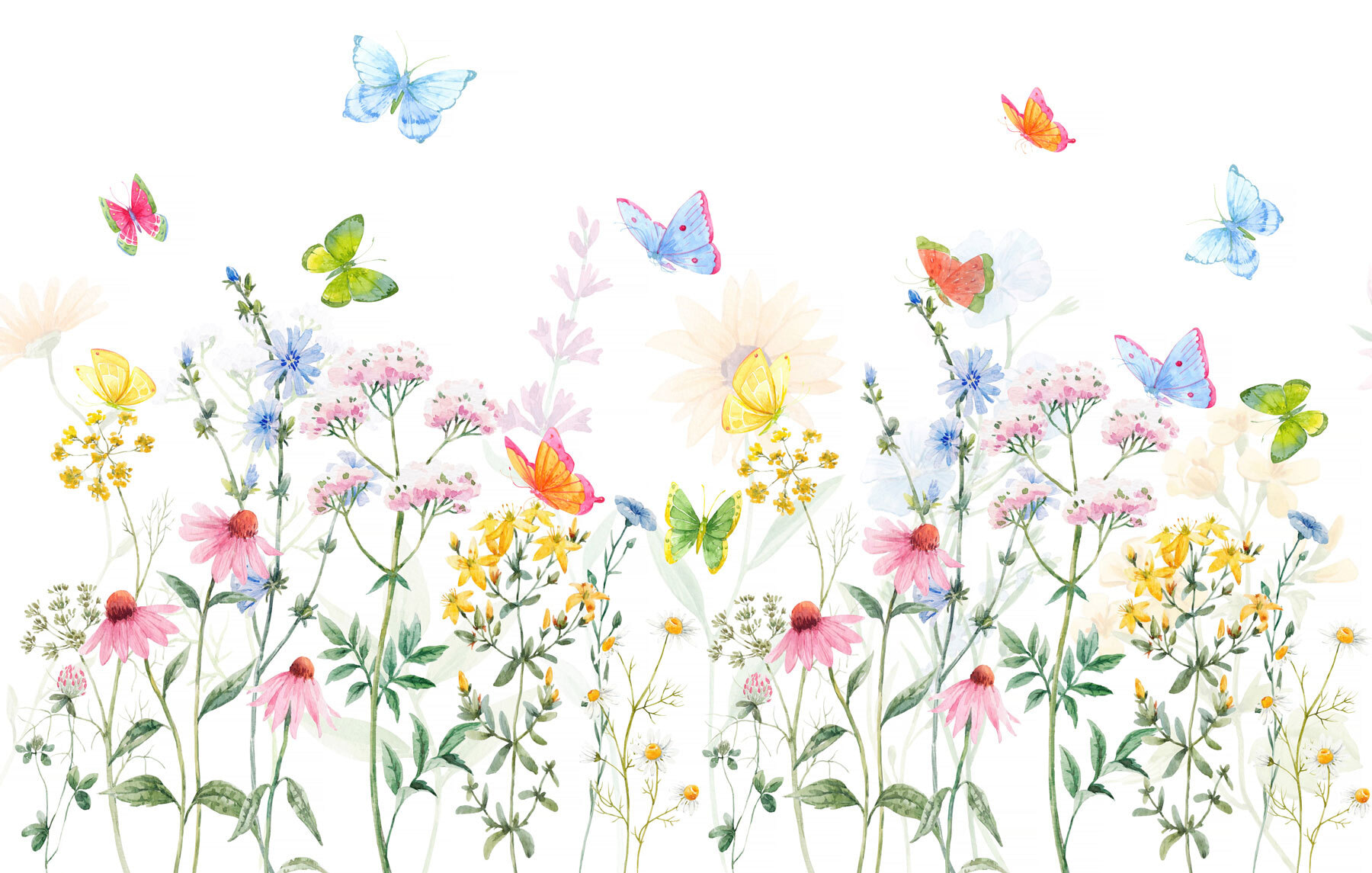 Painting of flowers and butterflies