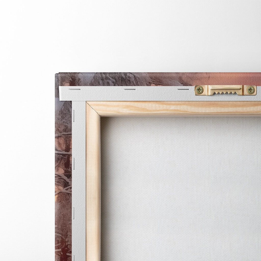 Snow covered road in a forest