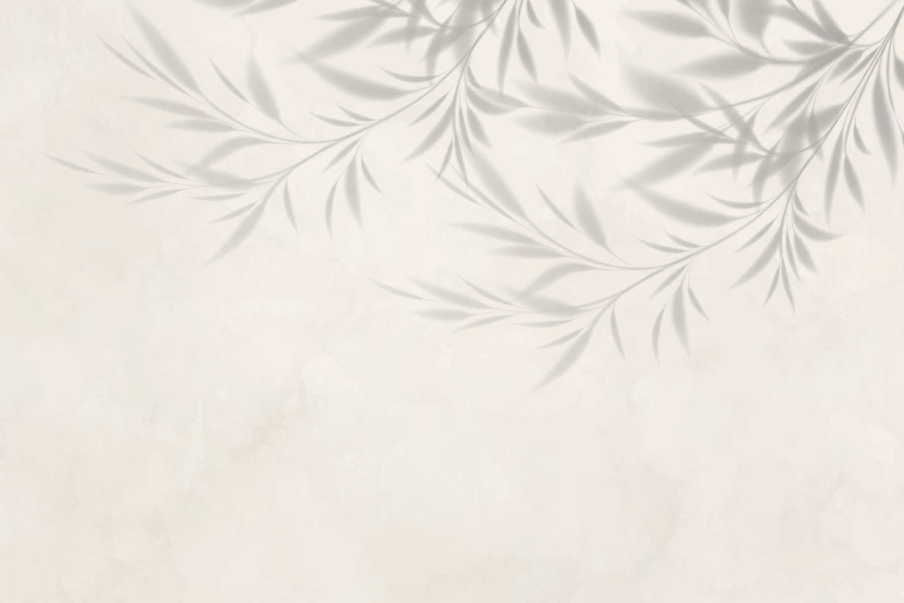 Shadow of leaves on a wall Shadow of leaves on a wall