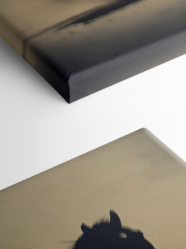 Horse running in the snow Horse running in the snow