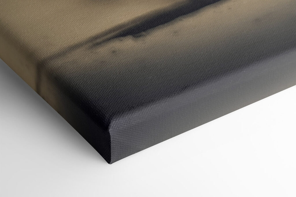 Horse running in the snow Horse running in the snow