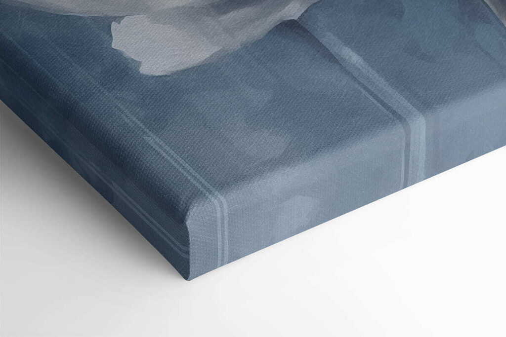 White flower on a blue background White flower on a blue background