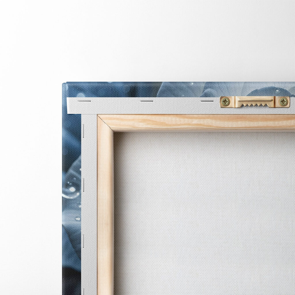 White rose with water drops on it