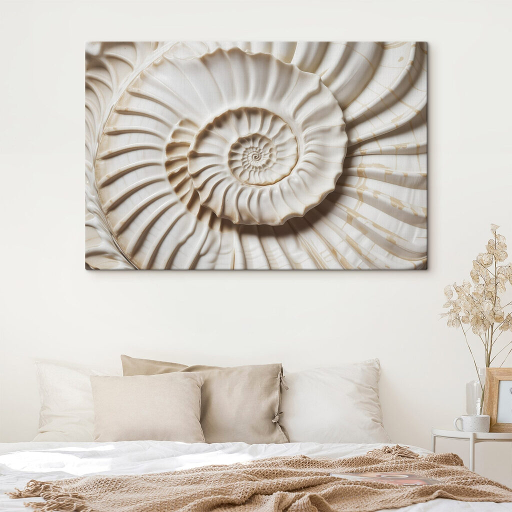 Elegant spiral shell pattern displayed beautifully