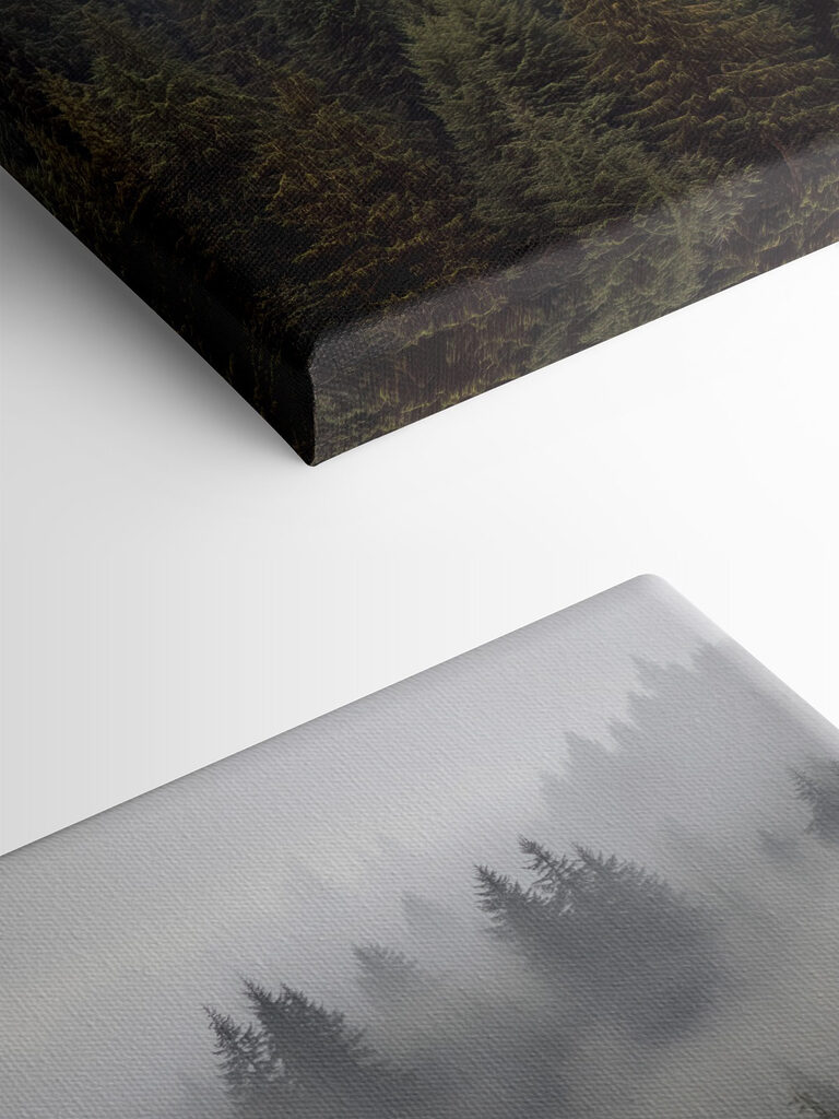 Group of trees with fog