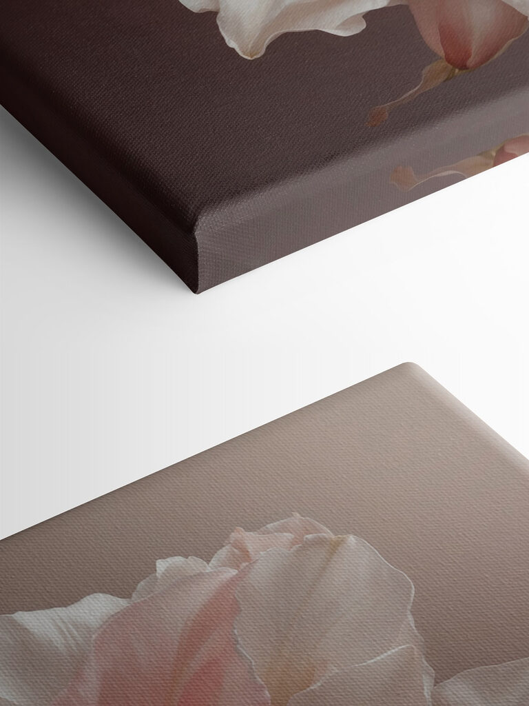 Delicate petals in soft hues Delicate petals in soft hues