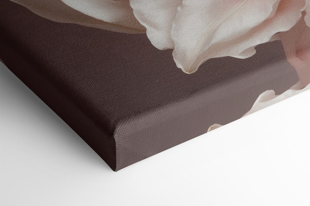 Delicate petals in soft hues Delicate petals in soft hues