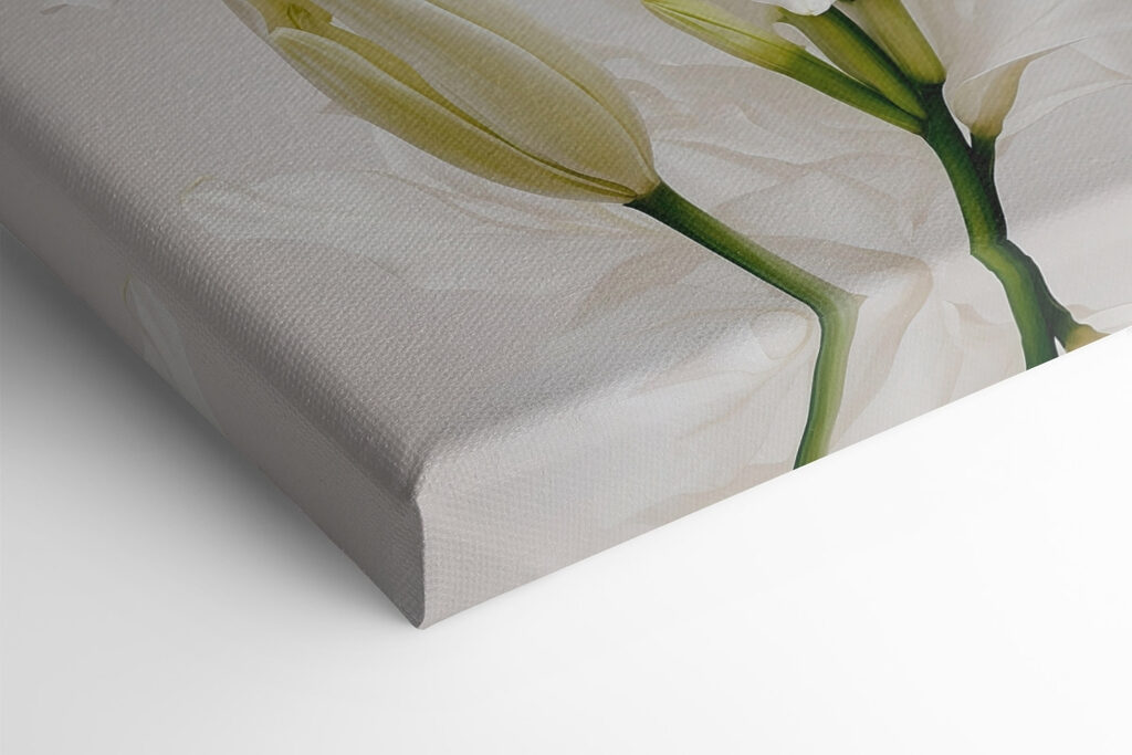 Group of white flowers Group of white flowers