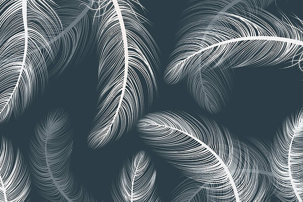 Delicate feathers dancing on dark background
