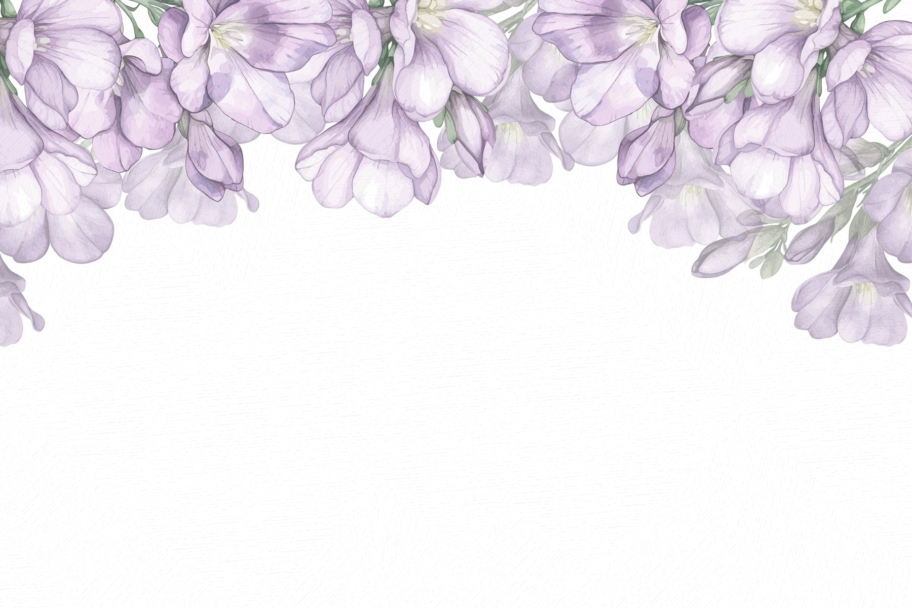 Row of purple flowers