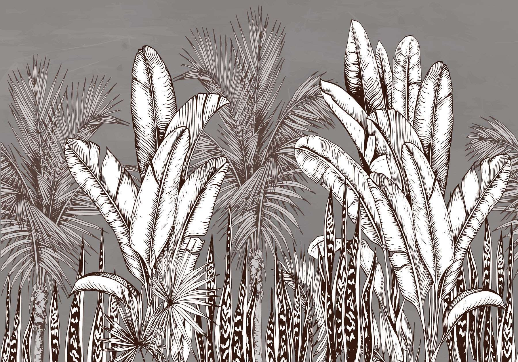 Group of plants with different leaves