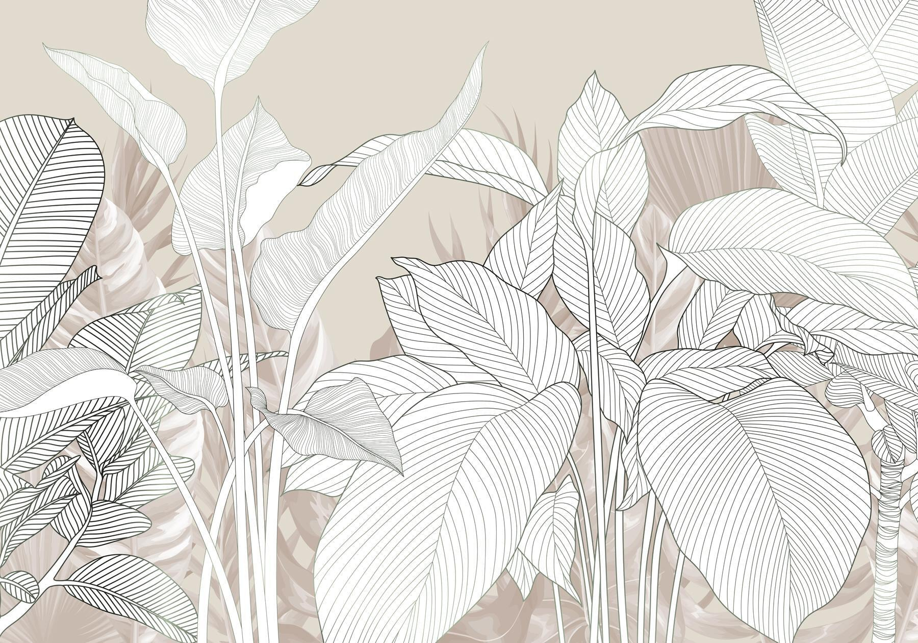 Delicate lines and soft textures Delicate lines and soft textures