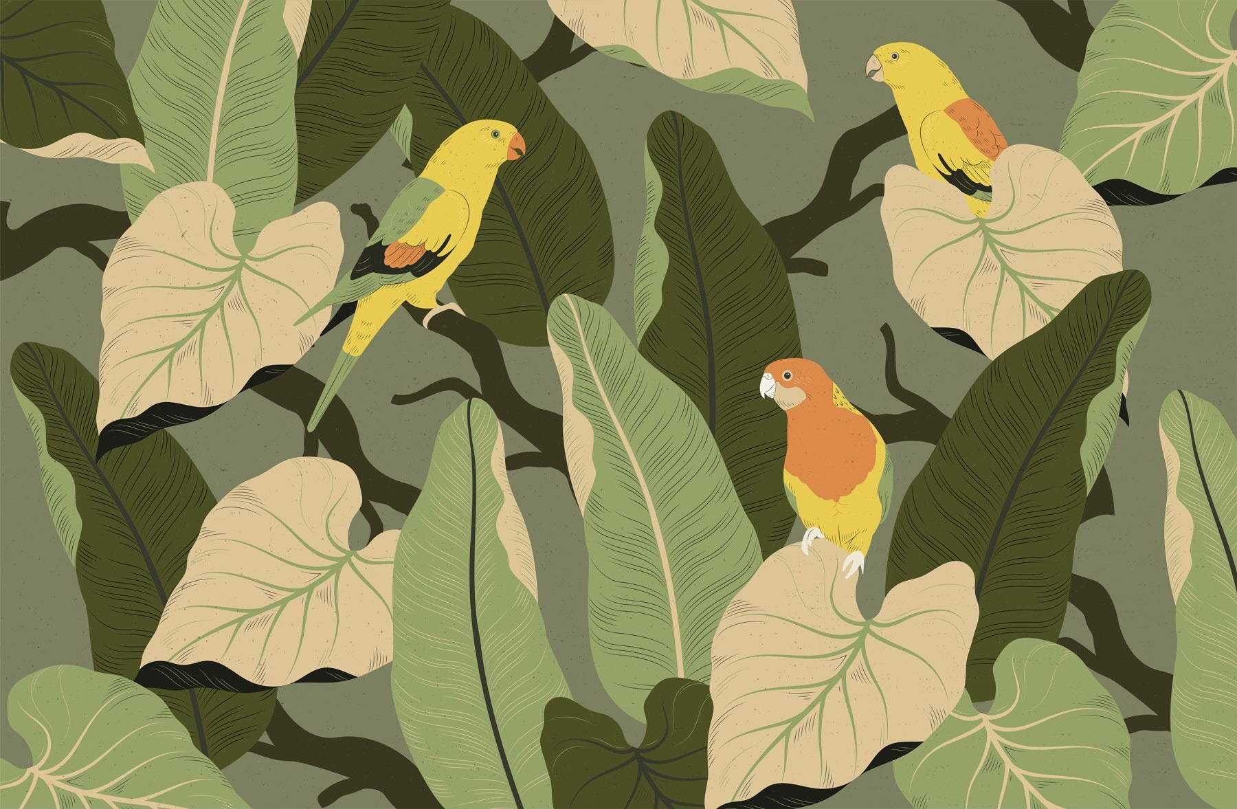 Colorful birds on a tree branch Colorful birds on a tree branch