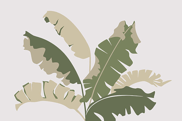 Rastlina s listami Rastlina s listami