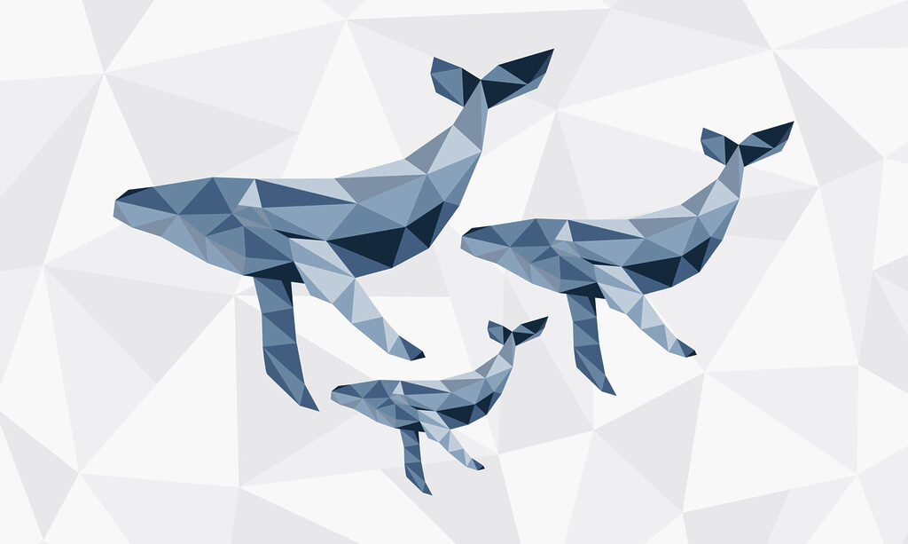 Skupina veľrýb v štýle low poly Skupina veľrýb v štýle low poly