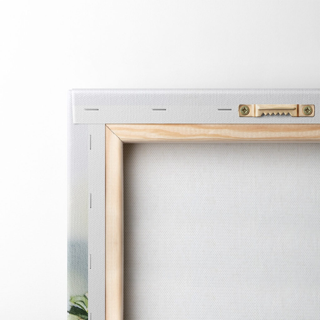 Plate of fruit and vegetables