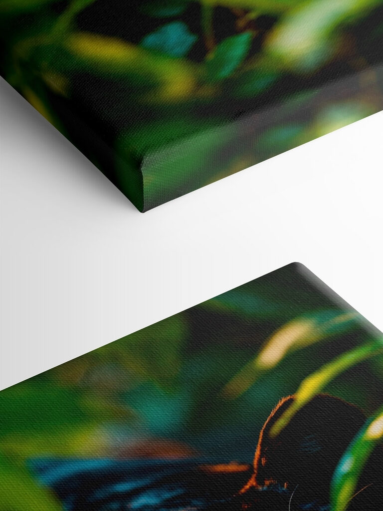 Black panther with green eyes Black panther with green eyes