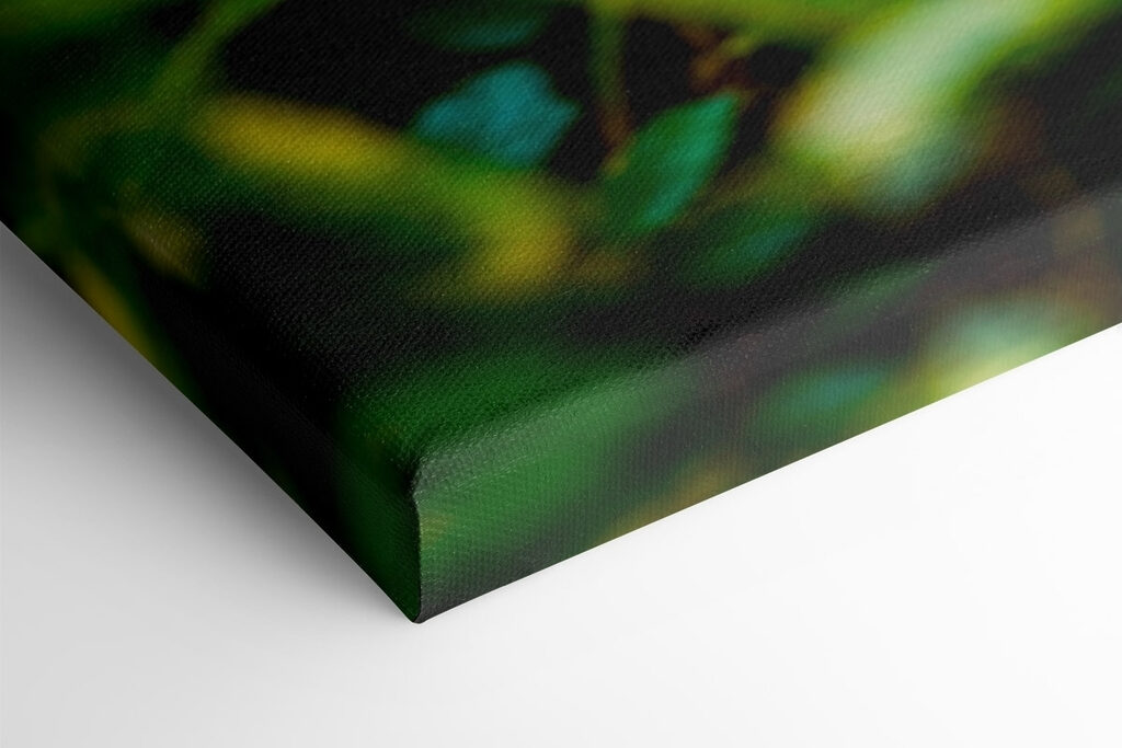 Black panther with green eyes Black panther with green eyes