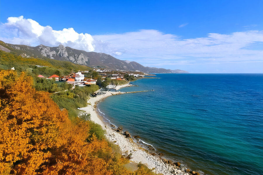Pláž s domami a stromami po stranách