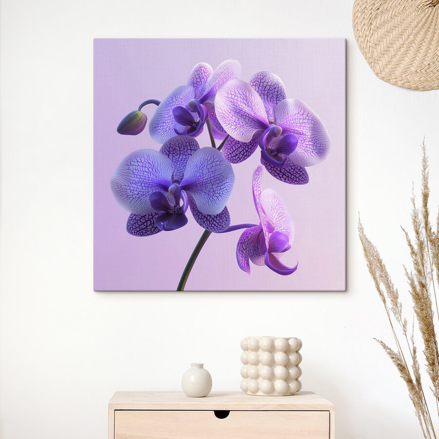 Fialový a biely kvet orchidey