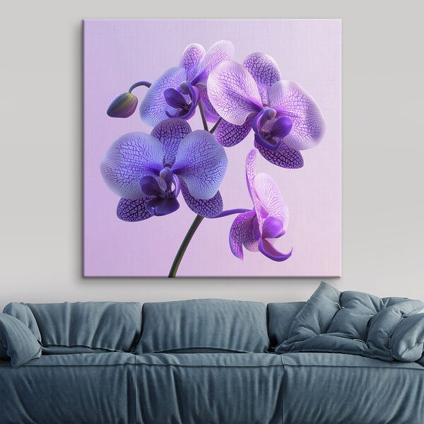 Fialový a biely kvet orchidey Fialový a biely kvet orchidey