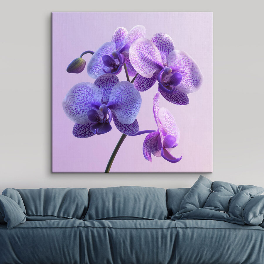 Fialový a biely kvet orchidey
