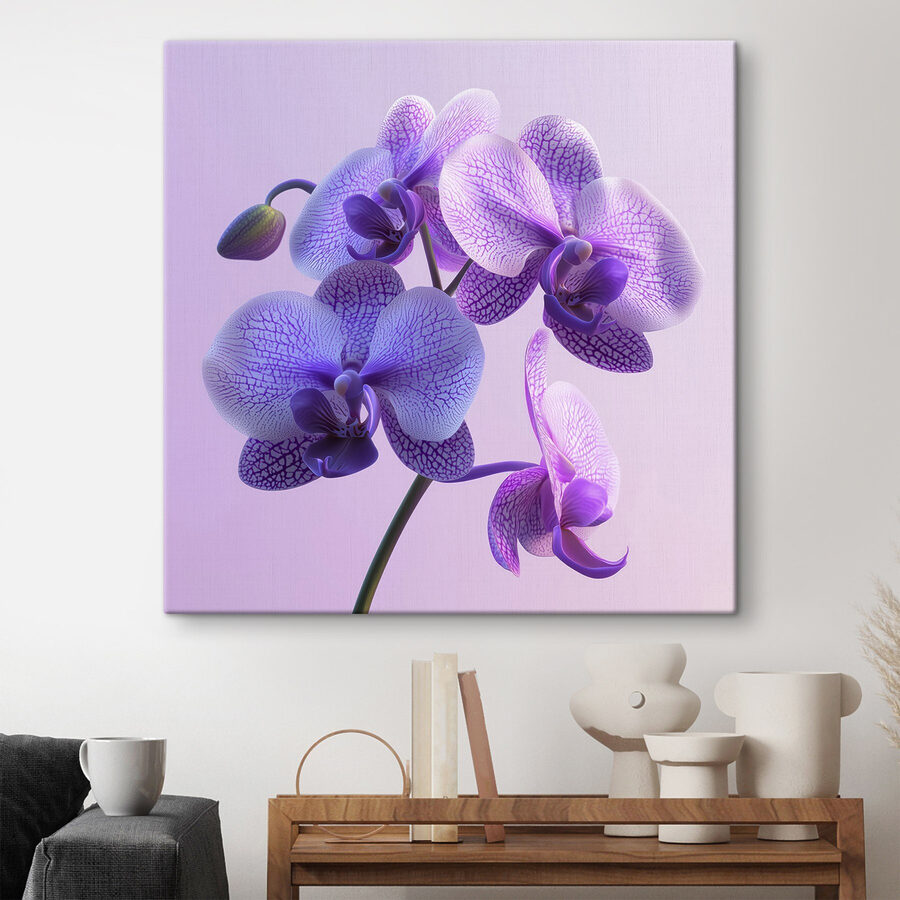 Fialový a biely kvet orchidey