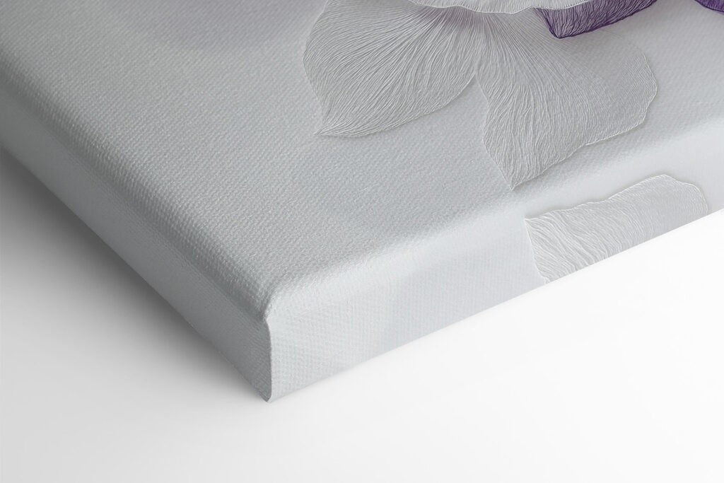 Purple and white flowers on a white surface