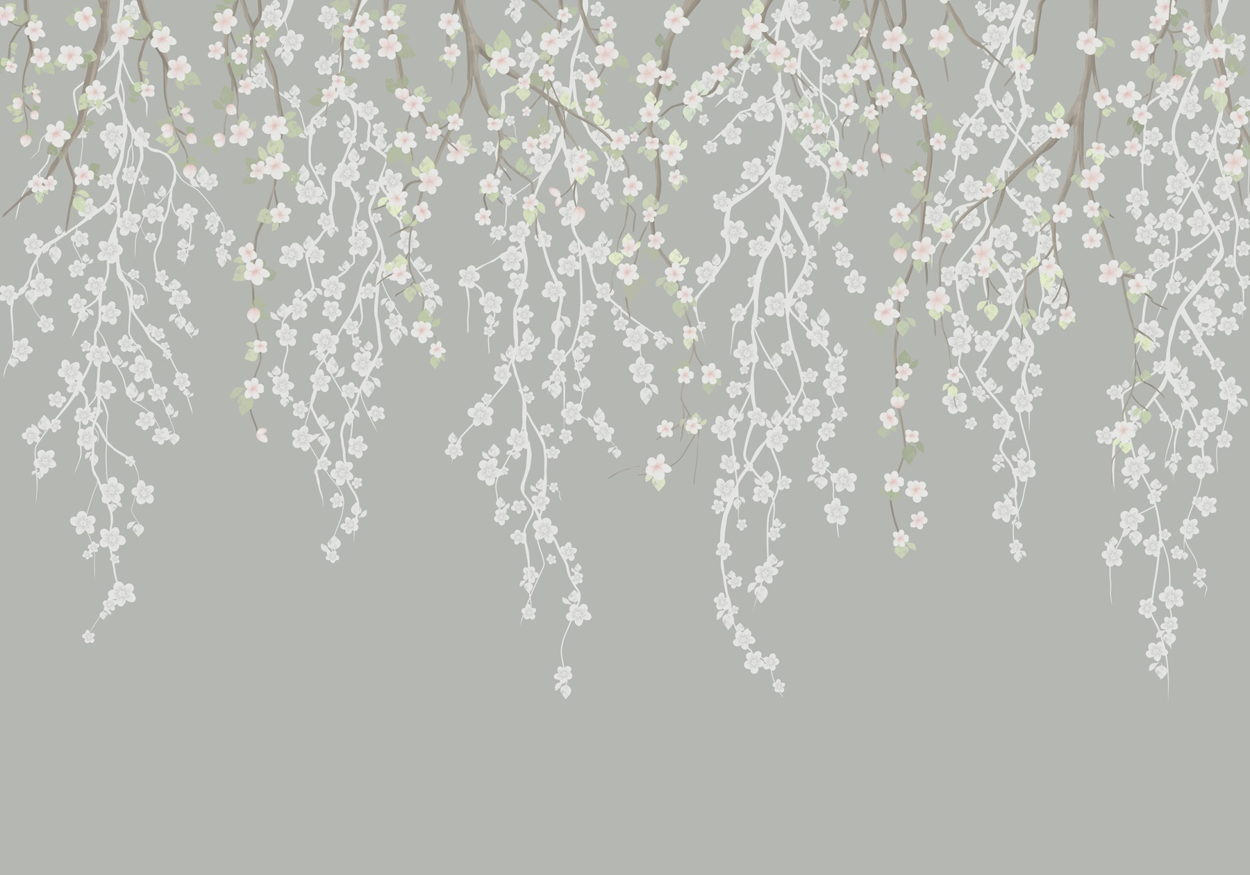 White flowers on a tree branch