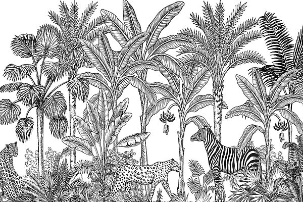 Zebra a gepard v džungli Zebra a gepard v džungli