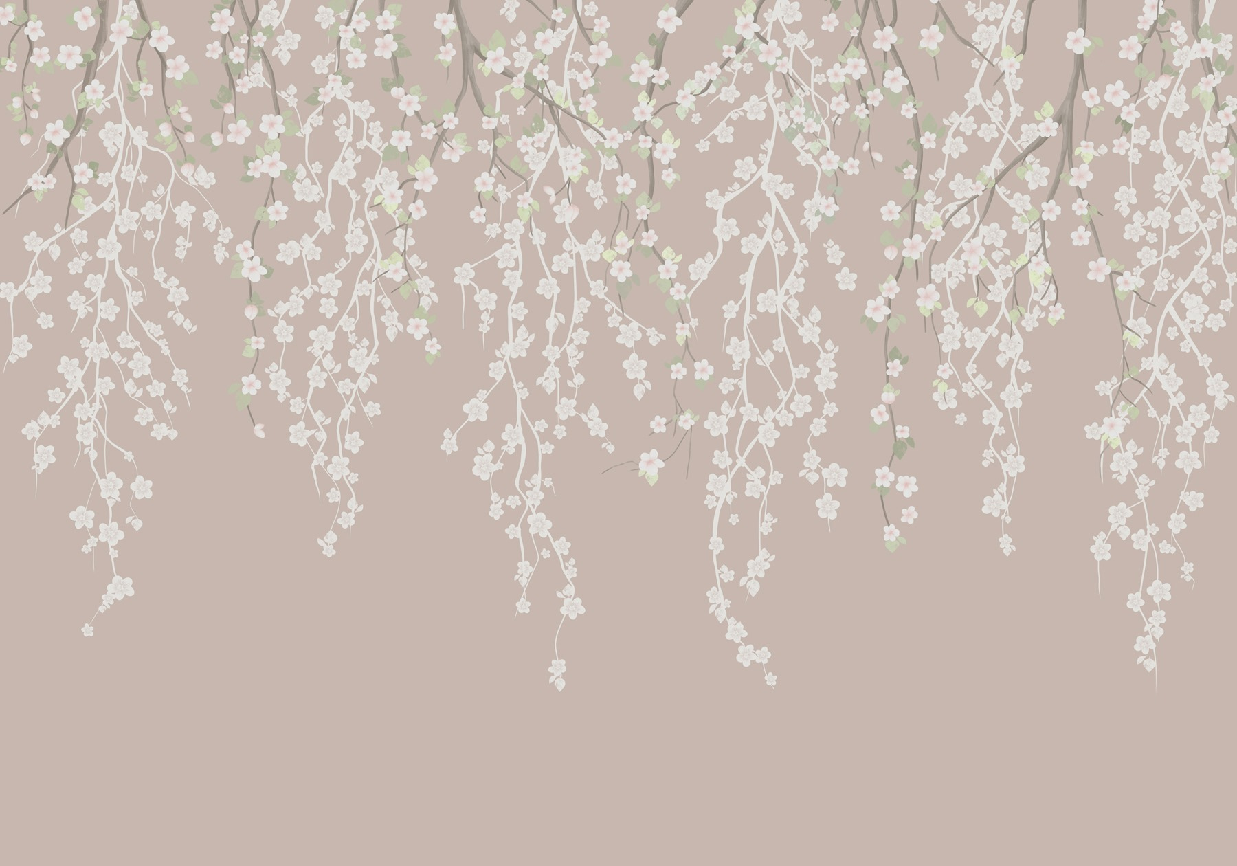 White flowers on a tree branch