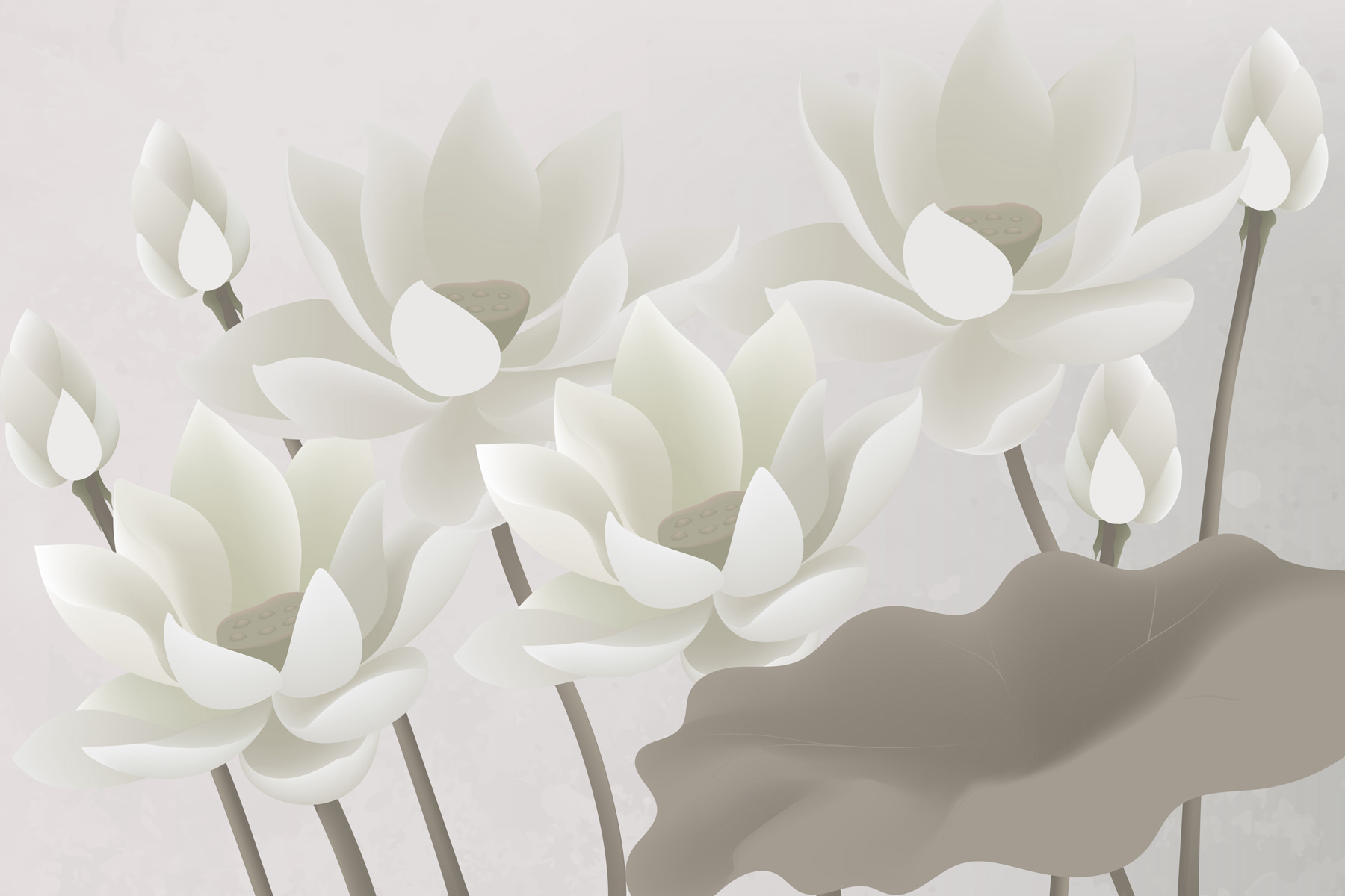 Group of white flowers Group of white flowers