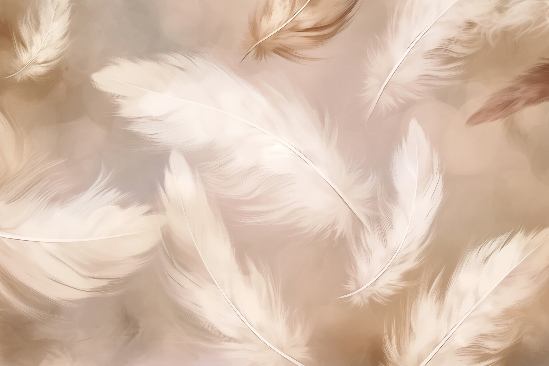 Group of white feathers