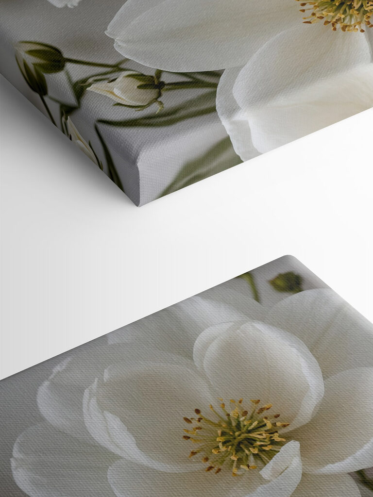 Group of white flowers