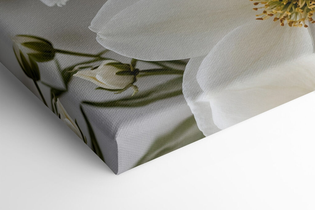 Group of white flowers