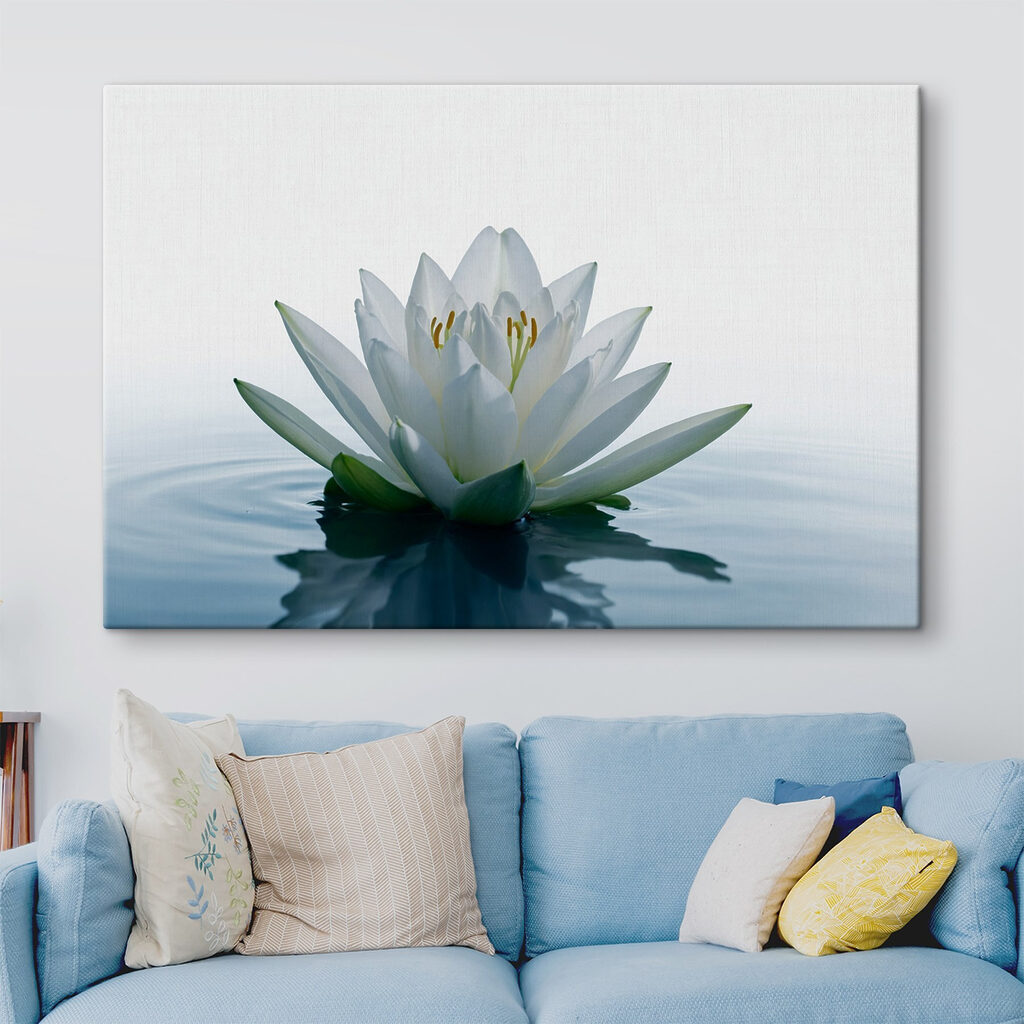 White flower in water White flower in water