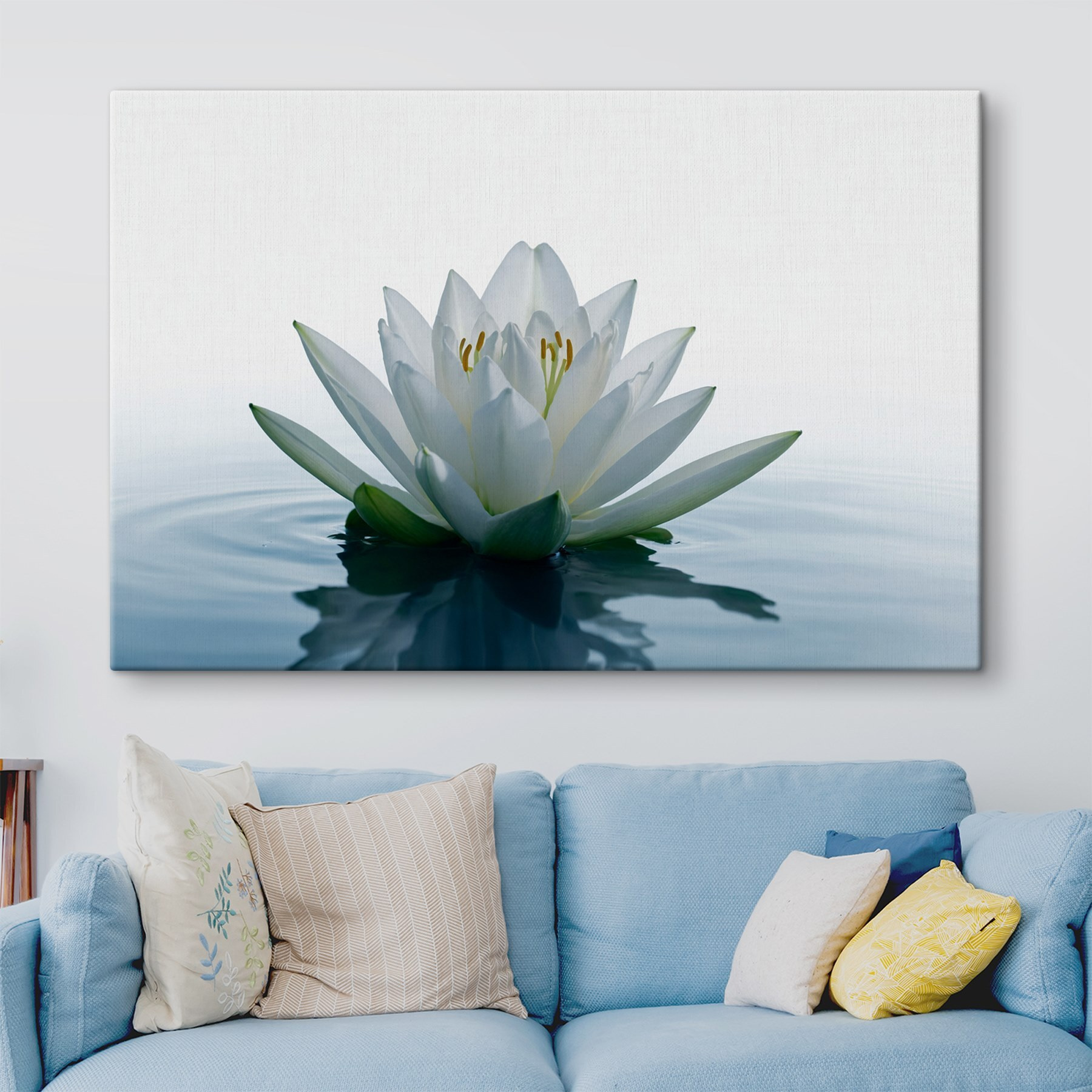 White flower in water White flower in water