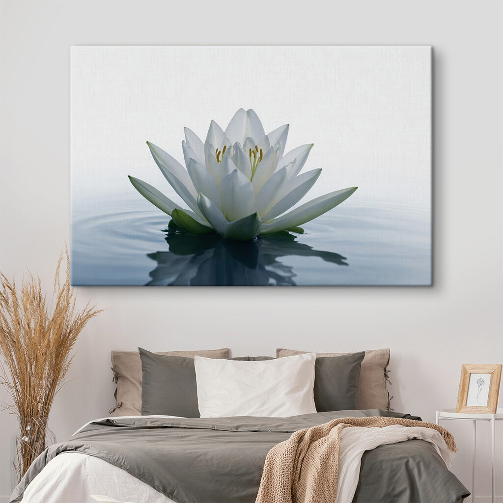 White flower in water White flower in water