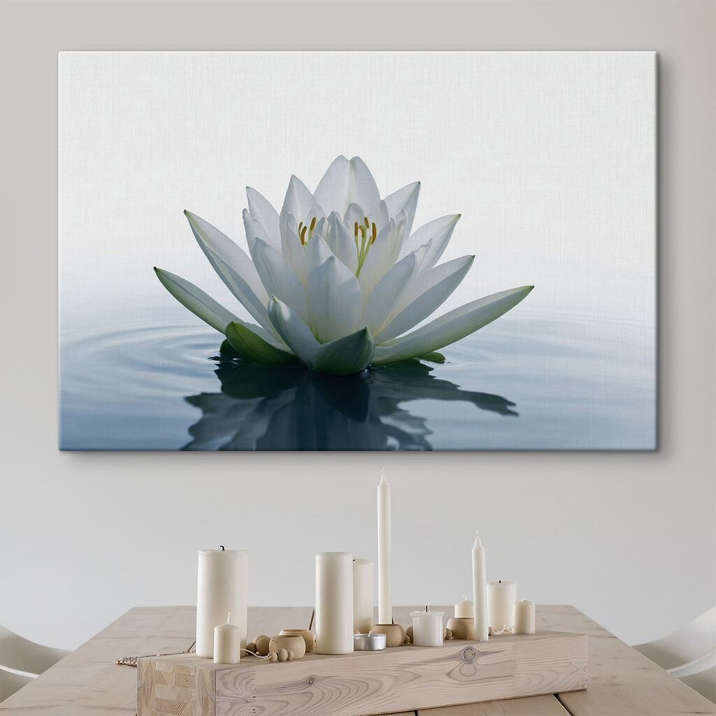 White flower in water White flower in water