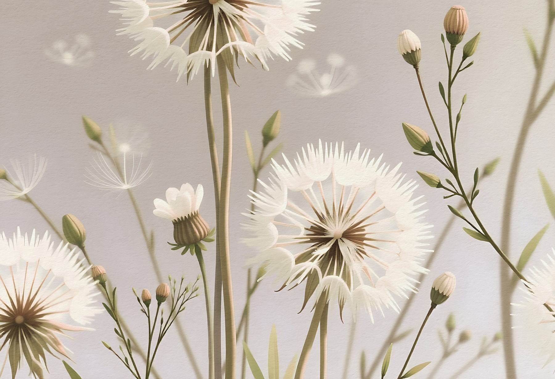 Delicate white flowers in nature