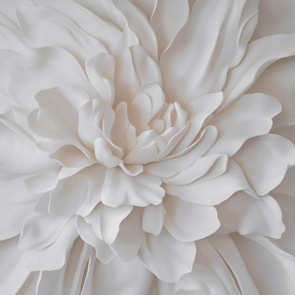 Delicate layers of soft petals Delicate layers of soft petals