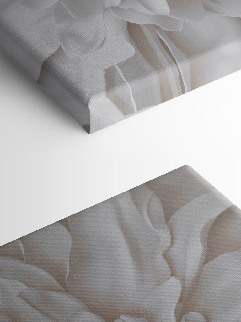 Delicate layers of soft petals Delicate layers of soft petals