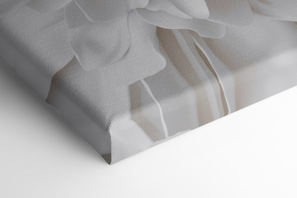 Delicate layers of soft petals Delicate layers of soft petals