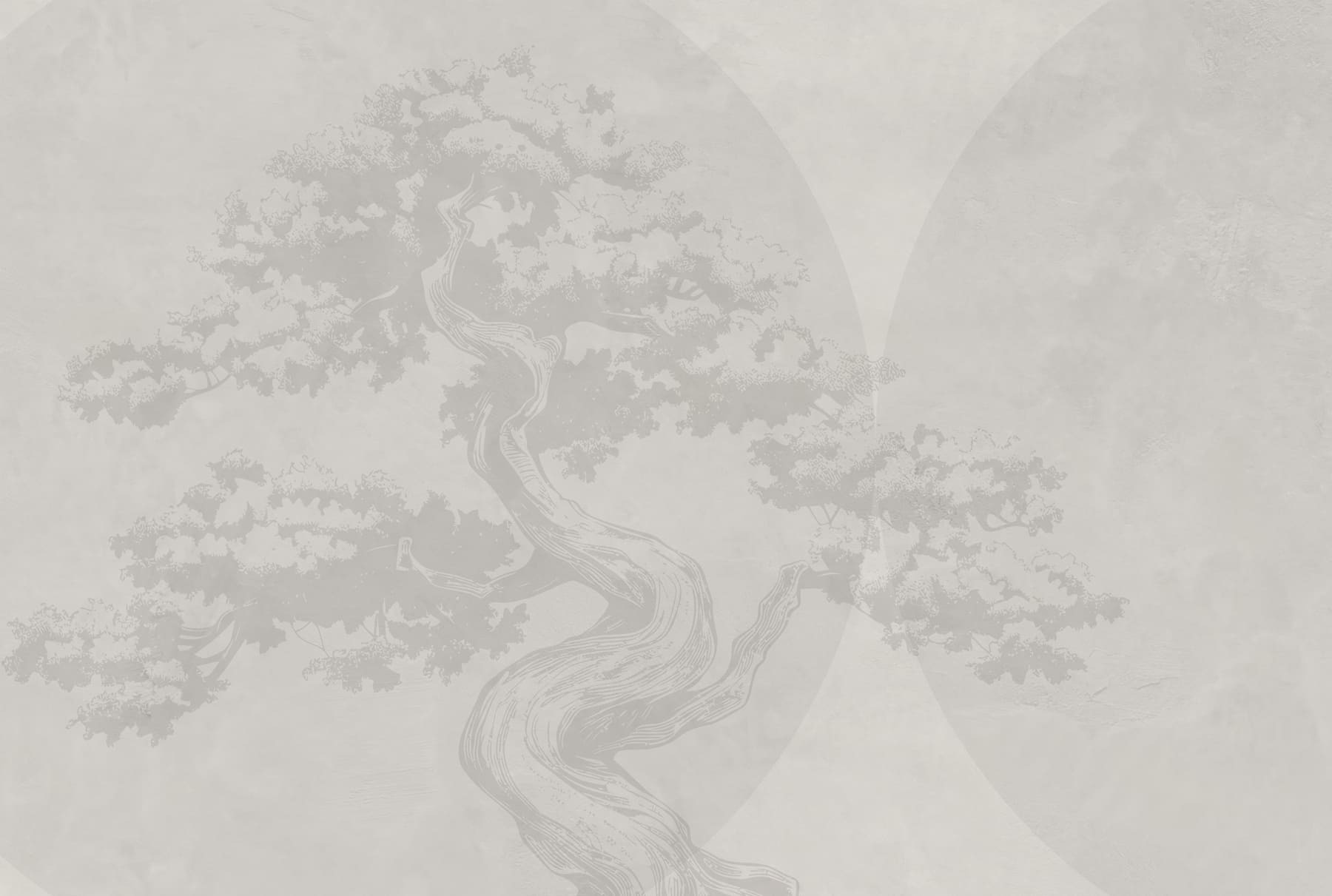 Tree with curved trunk and curved trunk Tree with curved trunk and curved trunk