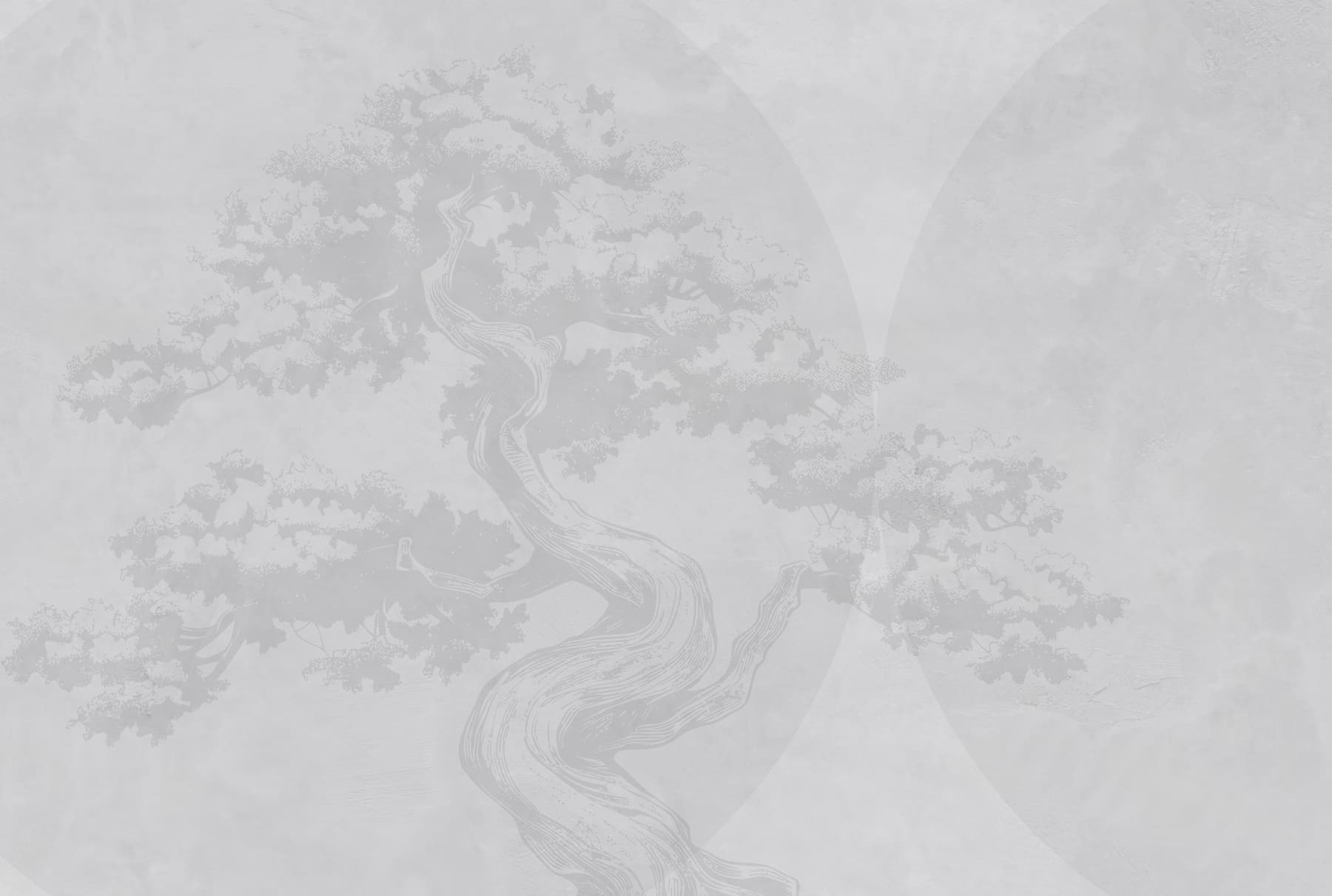 Tree with a curved trunk Tree with a curved trunk