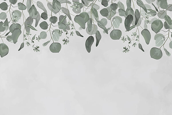 Jemné listy rámujúce mäkké pozadie Jemné listy rámujúce mäkké pozadie